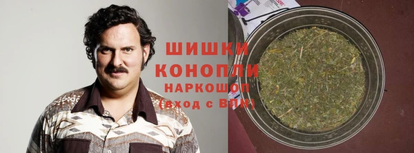 прущие грибы Кукмор