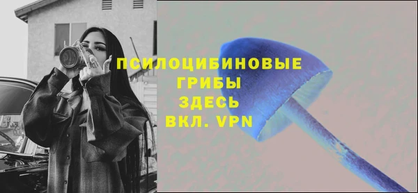прущие грибы Кукмор