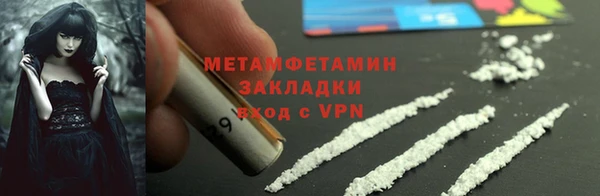 прущие грибы Кукмор