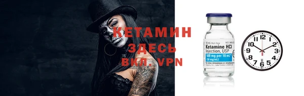 прущие грибы Кукмор