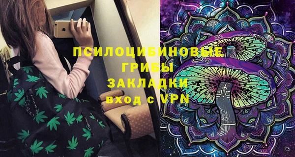 прущие грибы Кукмор