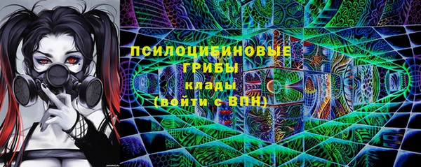 spice Лагань