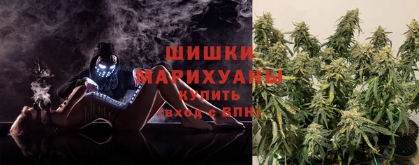 прущие грибы Кукмор
