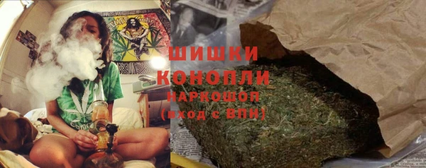 прущие грибы Кукмор